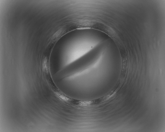 X0000068740143200604281149