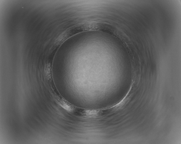 X0000068740144200604281149