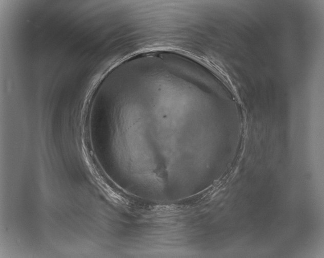 X0000068740145200604281148