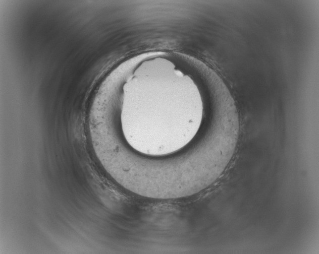 X0000068740146200604281148