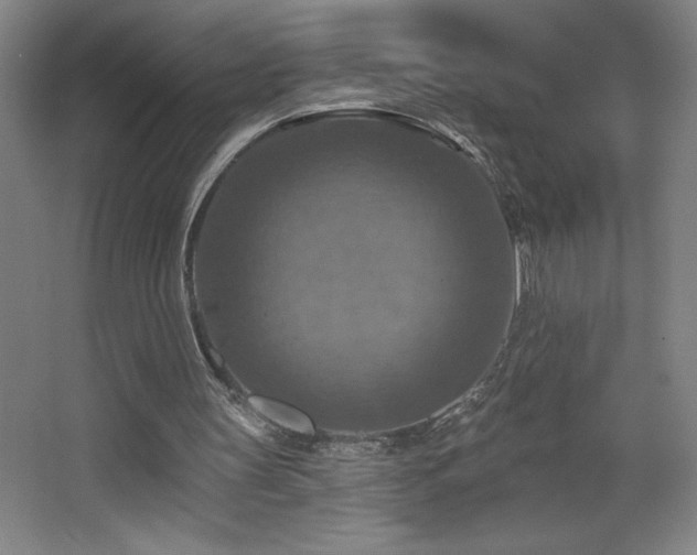 X0000068740147200604281148