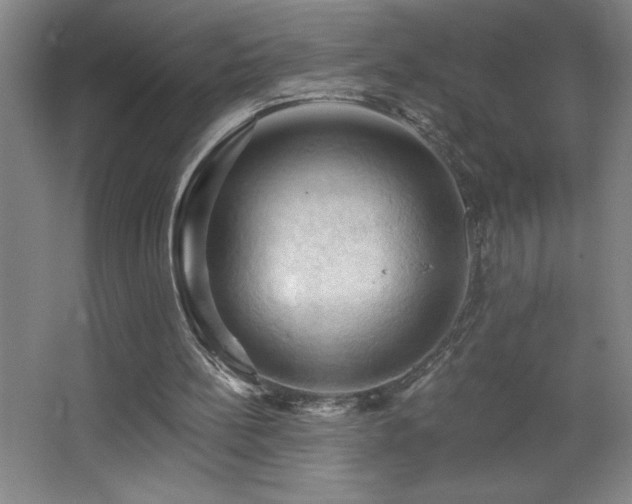 X0000068740148200604281148