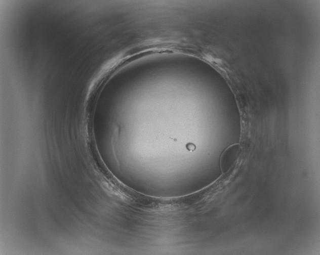 X0000068740149200604281148