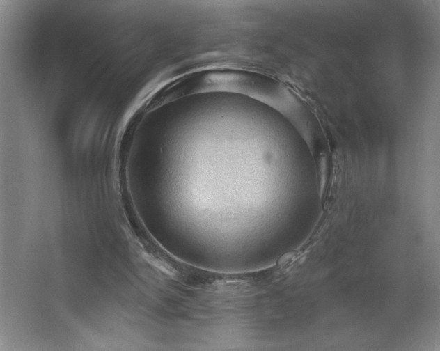 X0000068740150200604281148