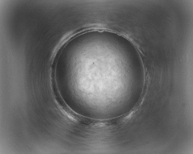 X0000068740151200604281148