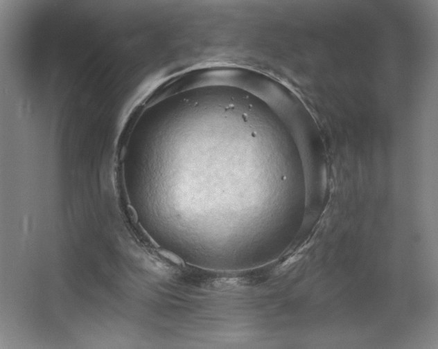 X0000068740152200604281148