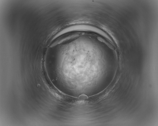 X0000068740153200604281148