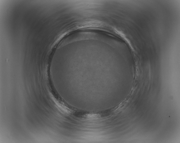 X0000068740154200604281148