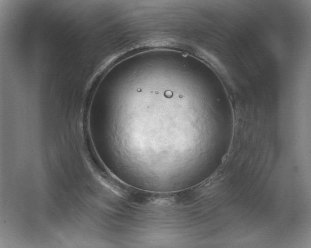 X0000068740155200604281148