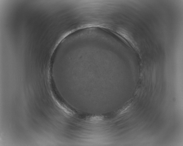 X0000068740156200604281149