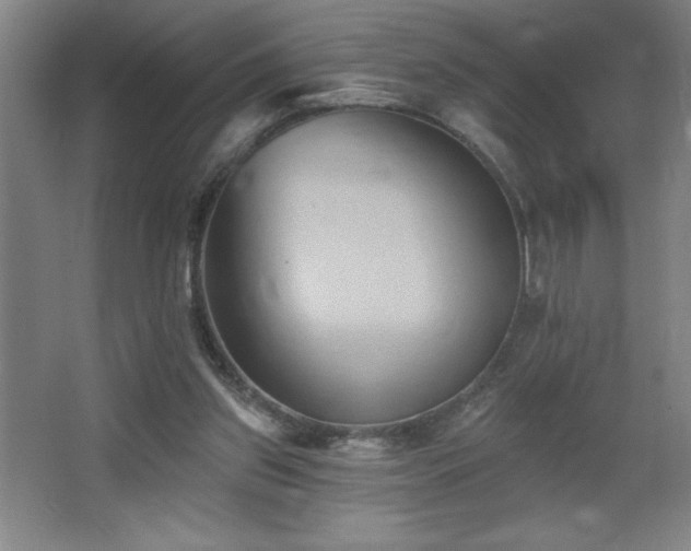 X0000068740157200604281149