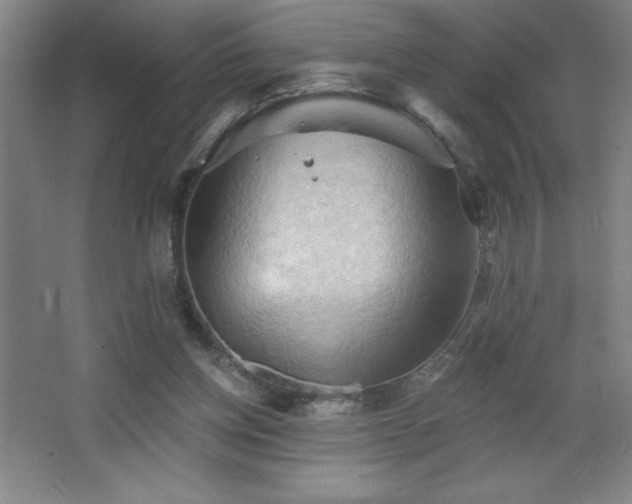 X0000068740158200604281149