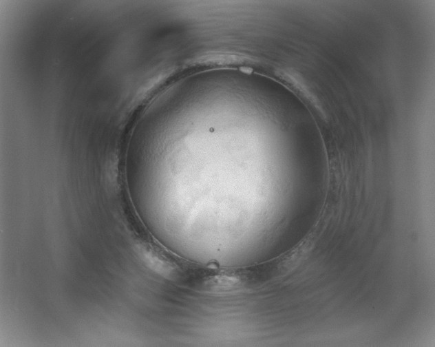 X0000068740159200604281149