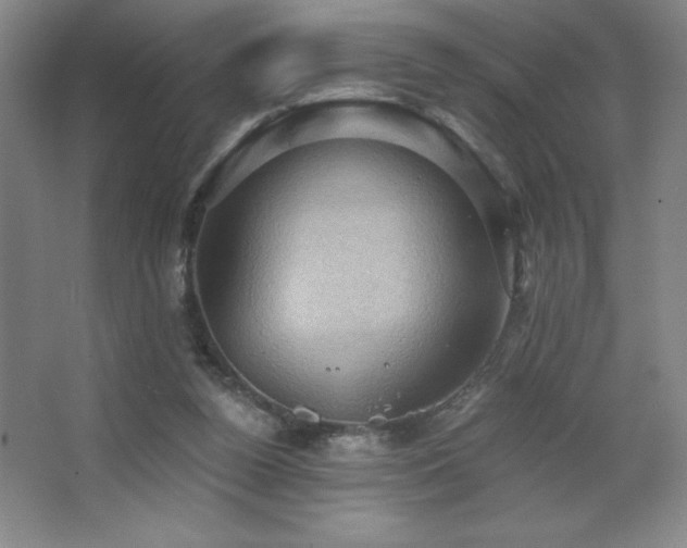 X0000068740160200604281149