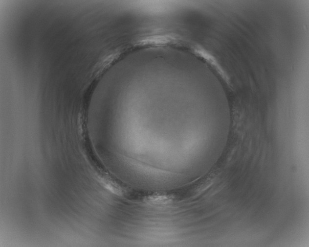 X0000068740161200604281149