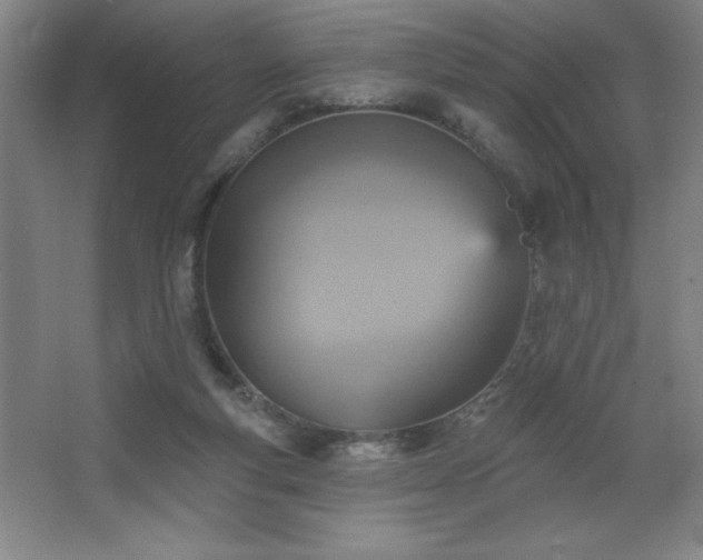 X0000068740163200604281149