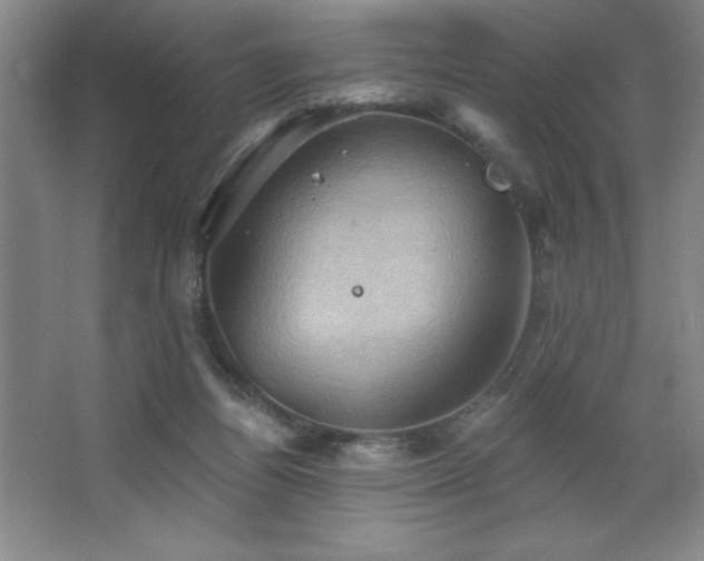 X0000068740164200604281149