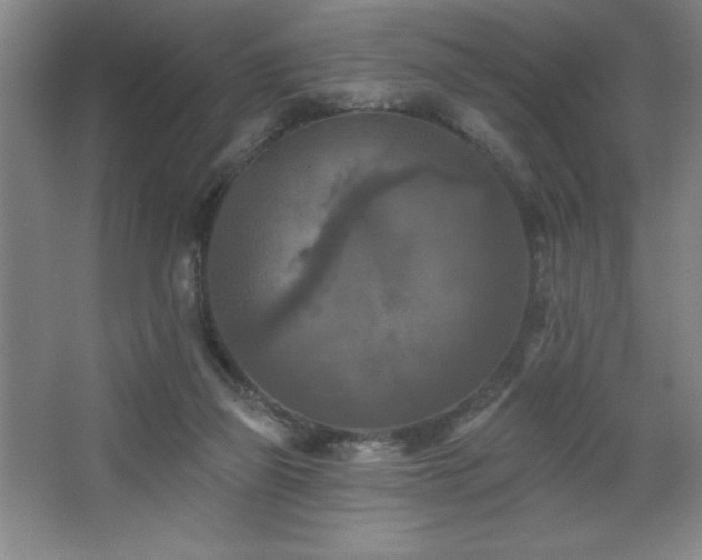 X0000068740165200604281149