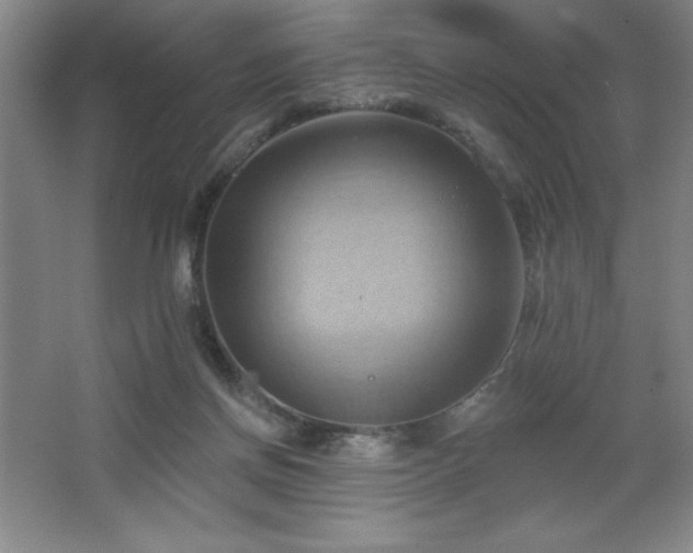 X0000068740166200604281149