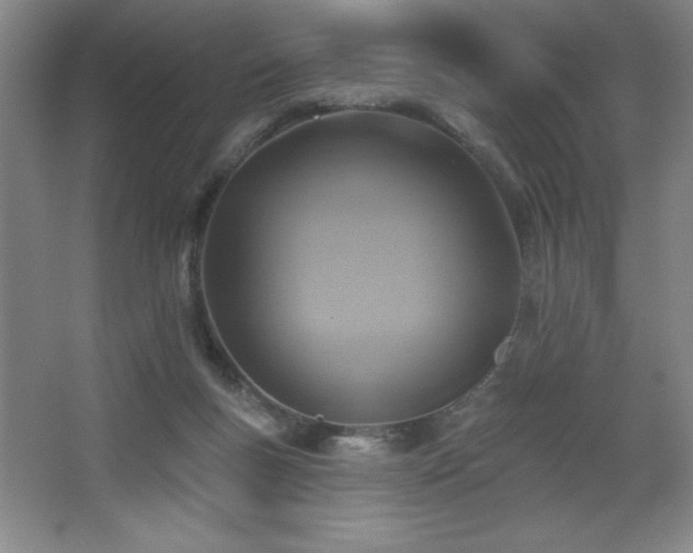 X0000068740167200604281149