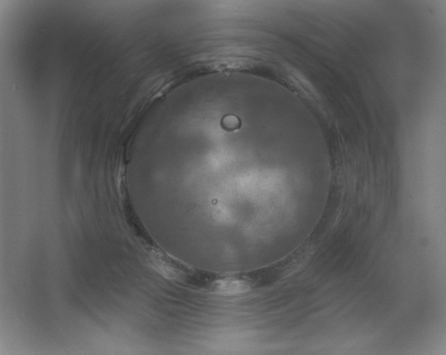 X0000068740169200604281149