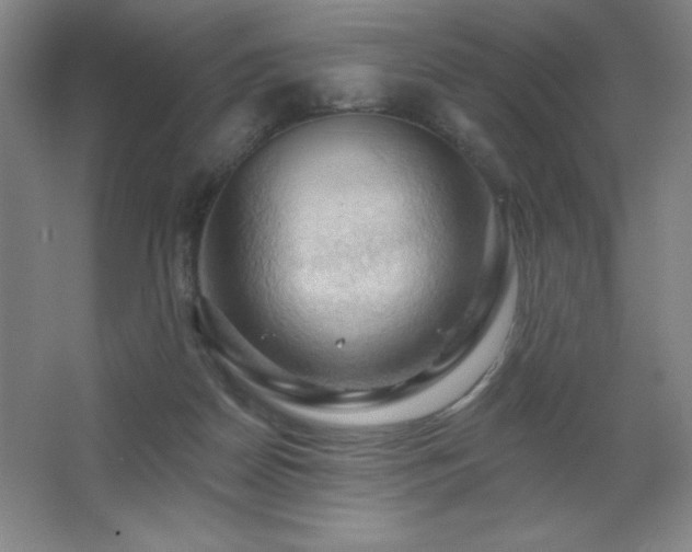 X0000068740170200604281149