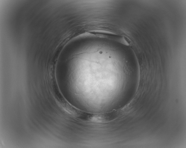 X0000068740171200604281149