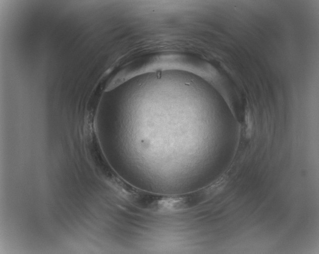 X0000068740172200604281149