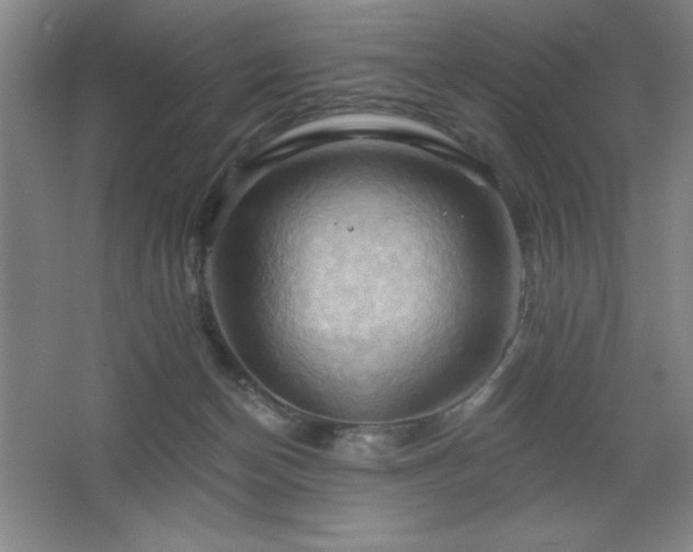 X0000068740174200604281149