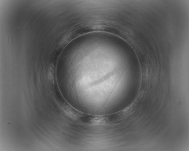 X0000068740175200604281149