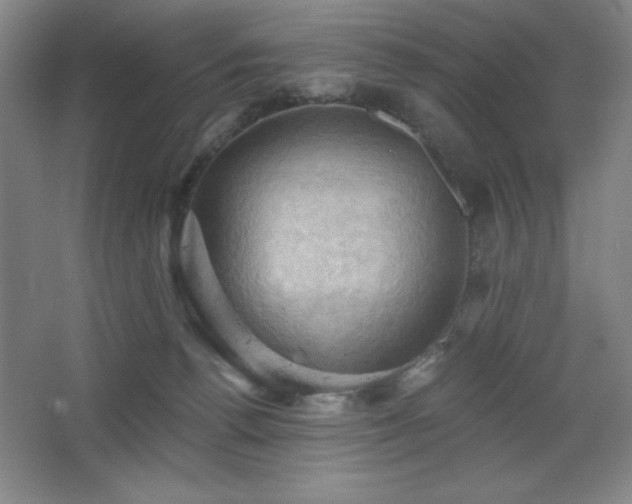 X0000068740176200604281149