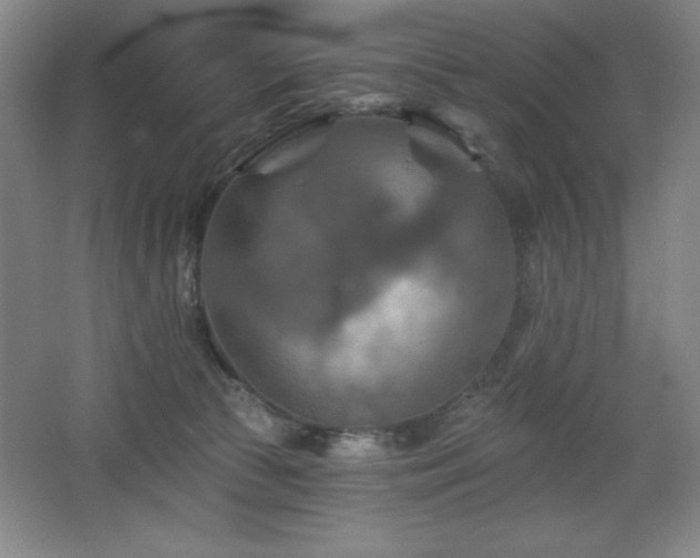 X0000068740177200604281149