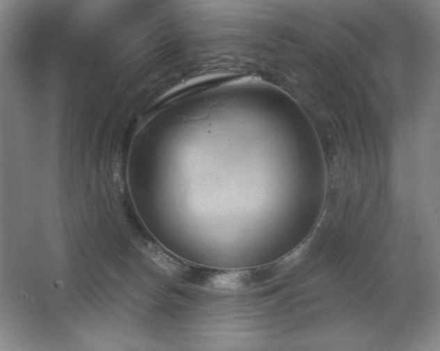 X0000068740178200604281149