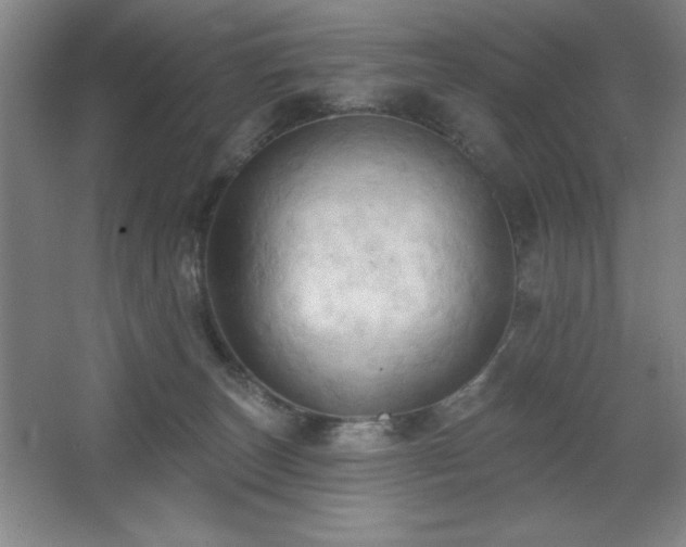 X0000068740179200604281149