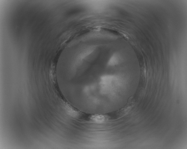 X0000068740181200604281149