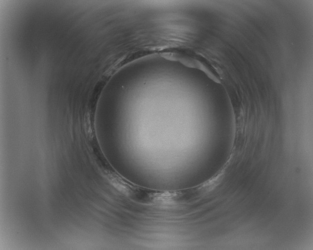 X0000068740182200604281149