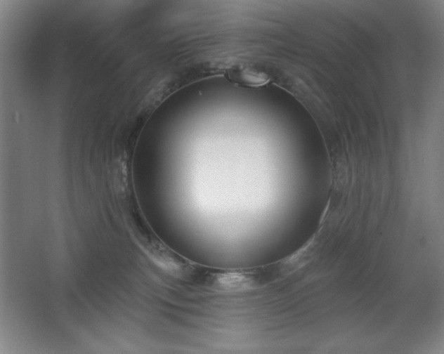 X0000068740183200604281149