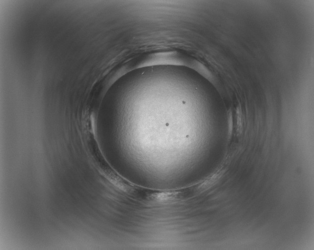 X0000068740184200604281149