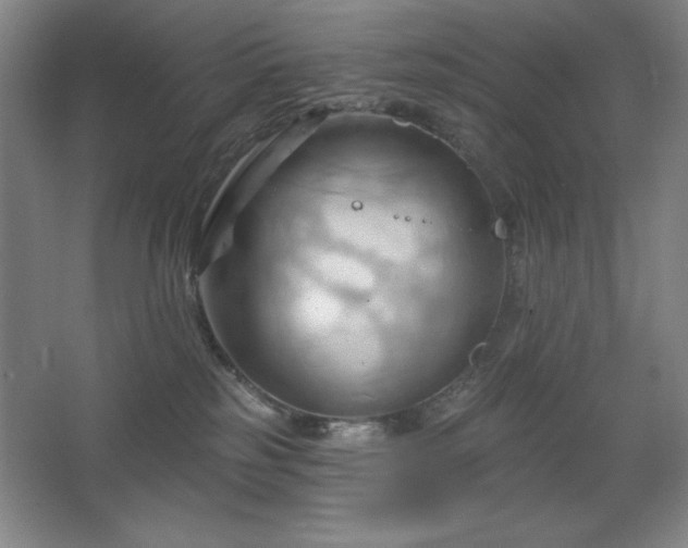 X0000068740185200604281149