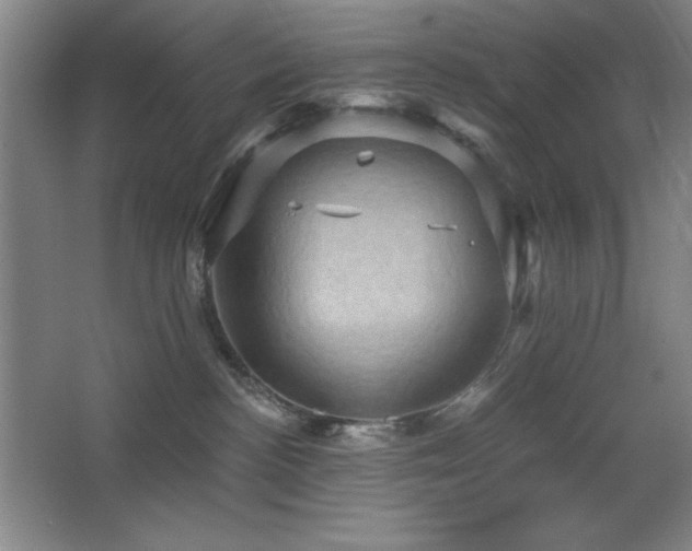 X0000068740188200604281149