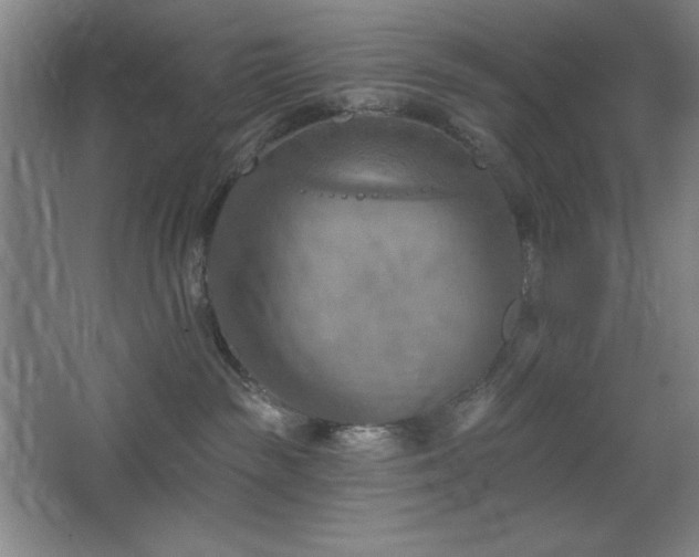 X0000068740189200604281149