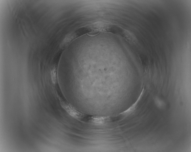 X0000068740190200604281149