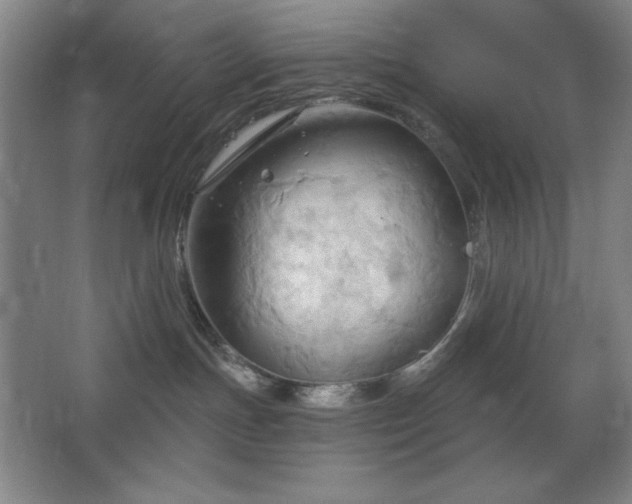 X0000068740191200604281149