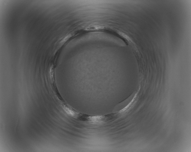 X0000068740192200604281149