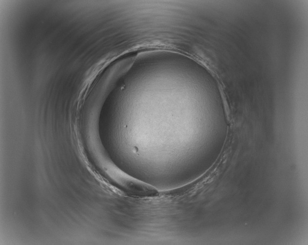 X0000068740193200604281148