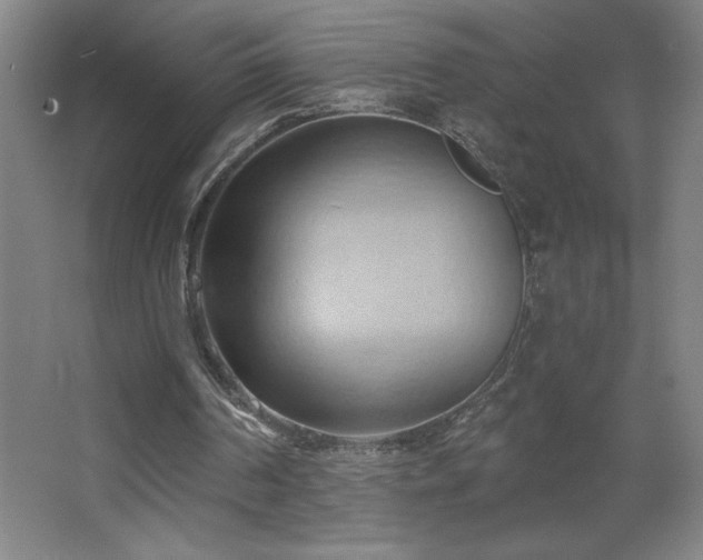 X0000068740194200604281148