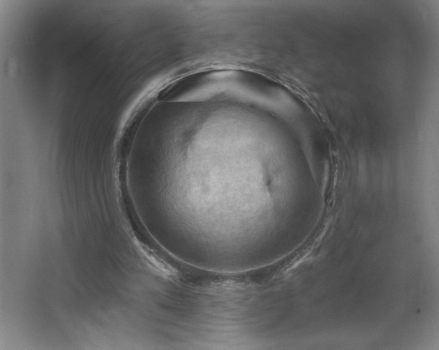 X0000068740197200604281148