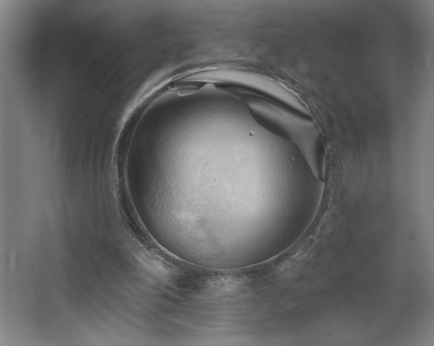 X0000068740198200604281148