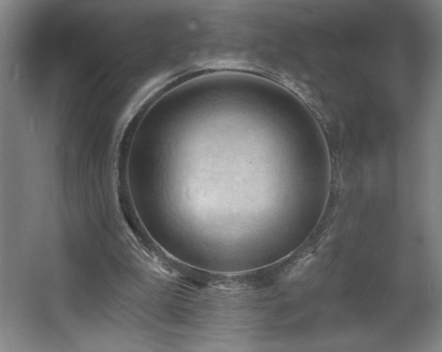 X0000068740199200604281148