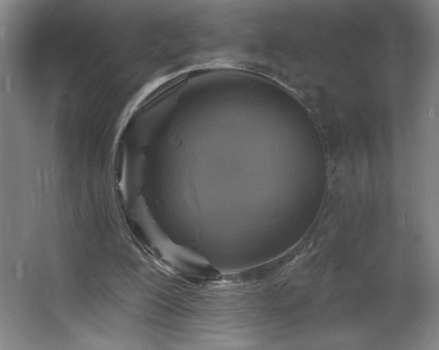 X0000068740200200604281148